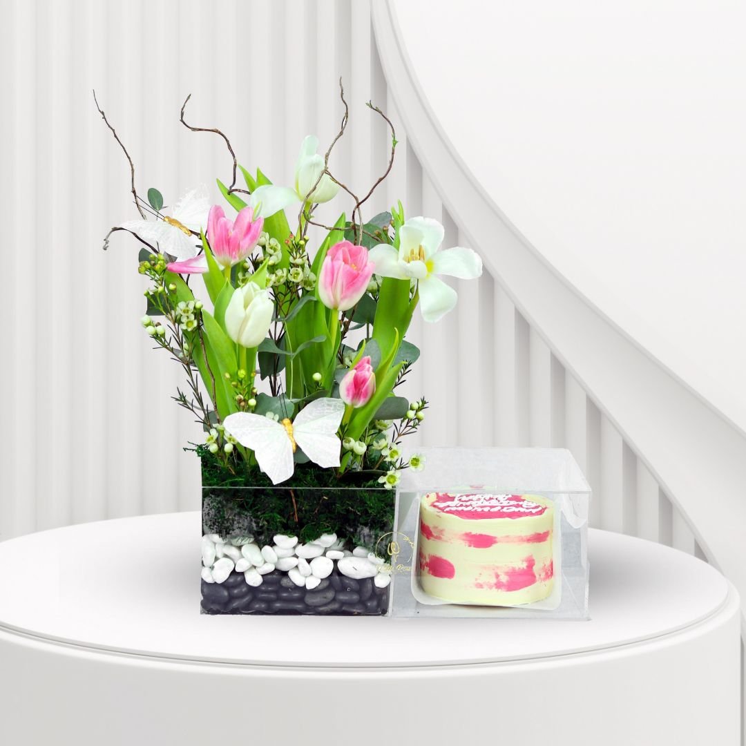 Gentle Tulips and Cake Arrangement - Flowers and Cake in Acrylic Box