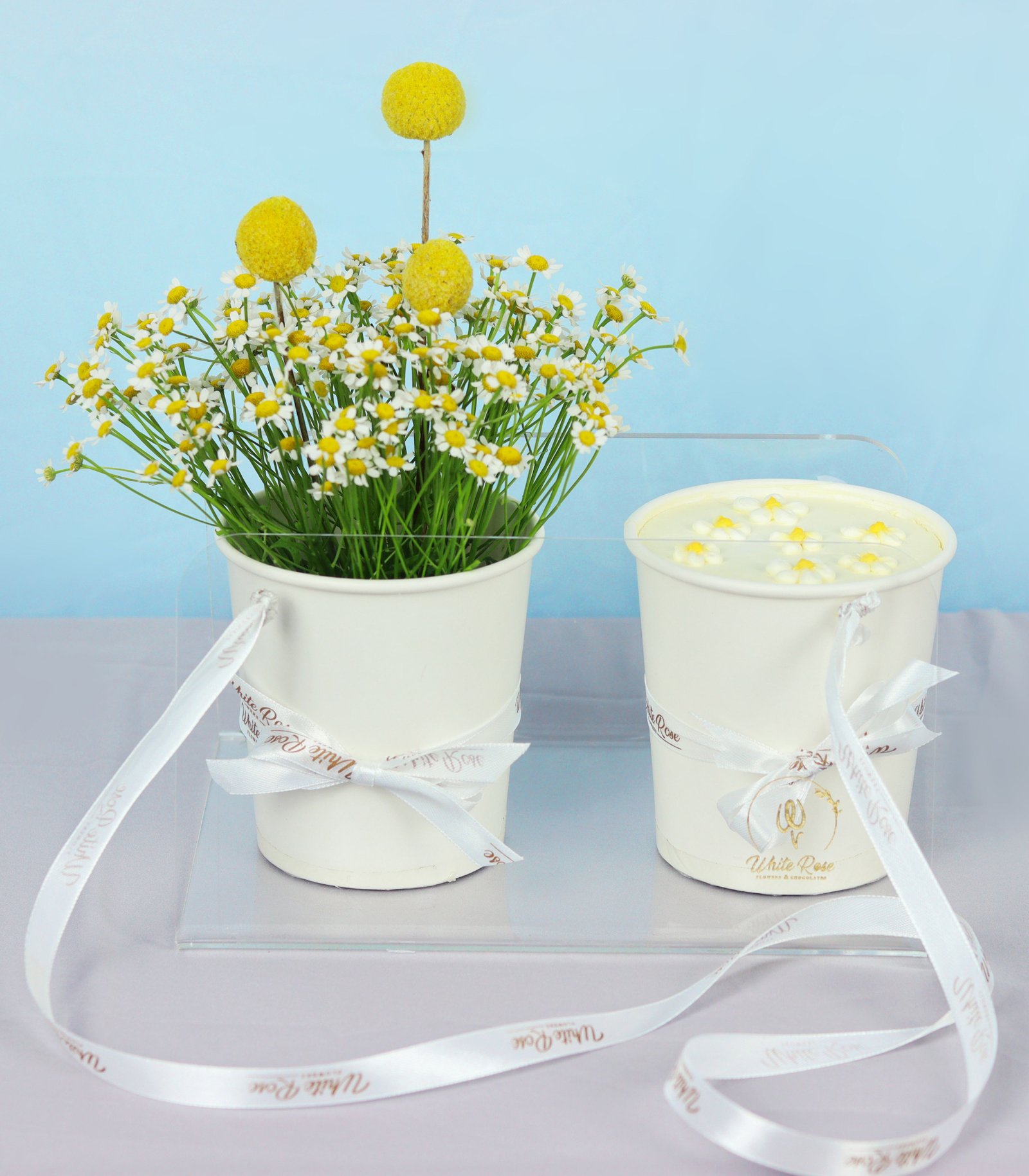 Daisy Cake Cup - Daisies and Cupcake in Acrylic Bag