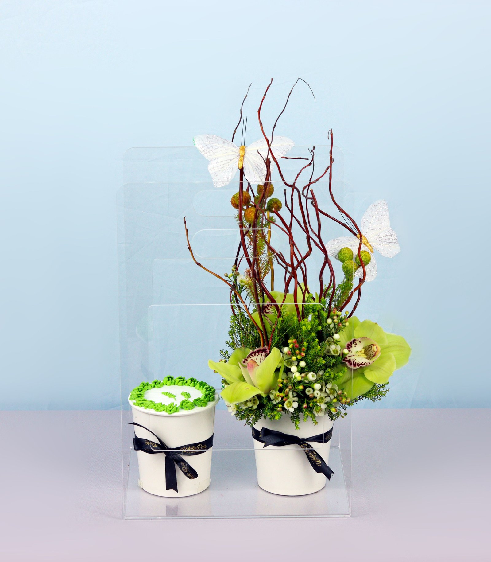 Orchid Cake Cup - Cymbidium Orchids and Cupcake in Acrylic Bag