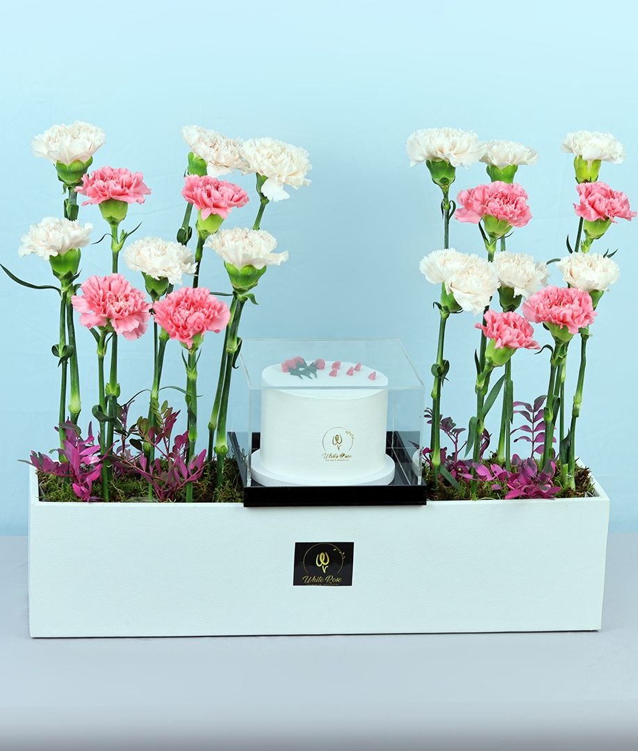 Carnation Cake Box - Flowers and Cake in Acrylic Box