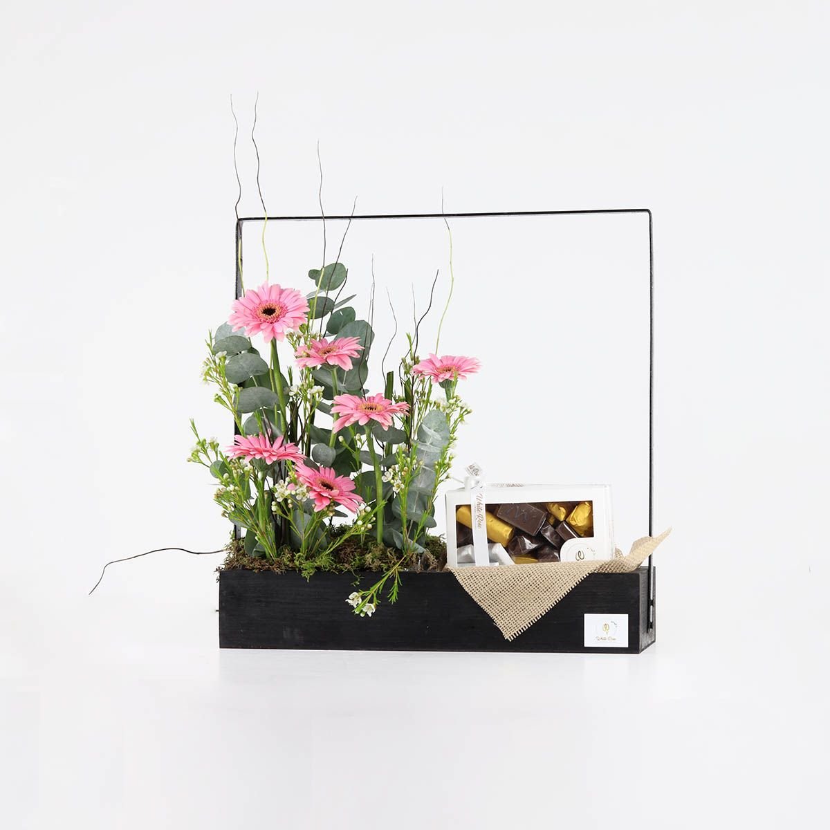 Chocolate Blooms - Gerbera Flower Stand with 500g Chocolates