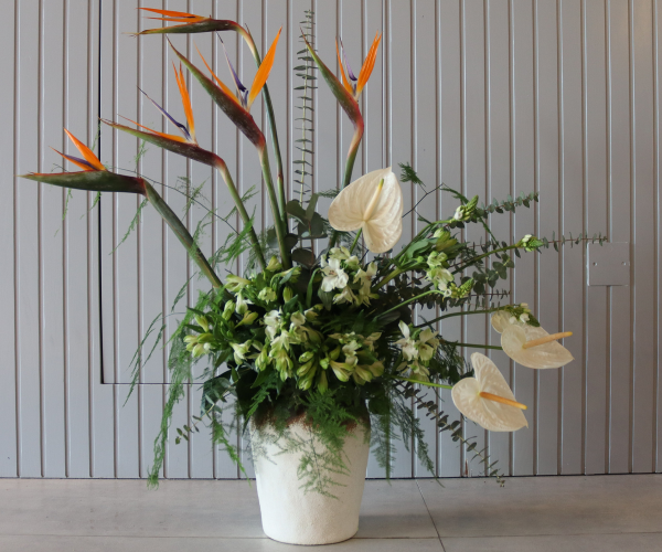 Emerald Cascade Floral Arrangement with Birds of Paradise
