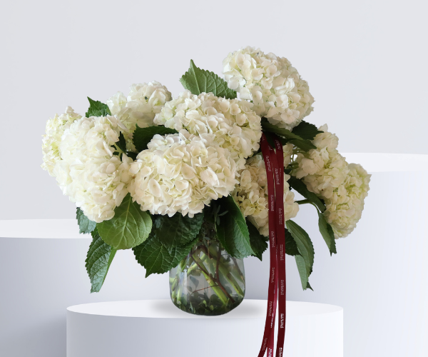 Whispering Elegance Floral Arrangement with White Hydrangeas