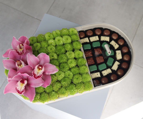 Orchid Garden Delight